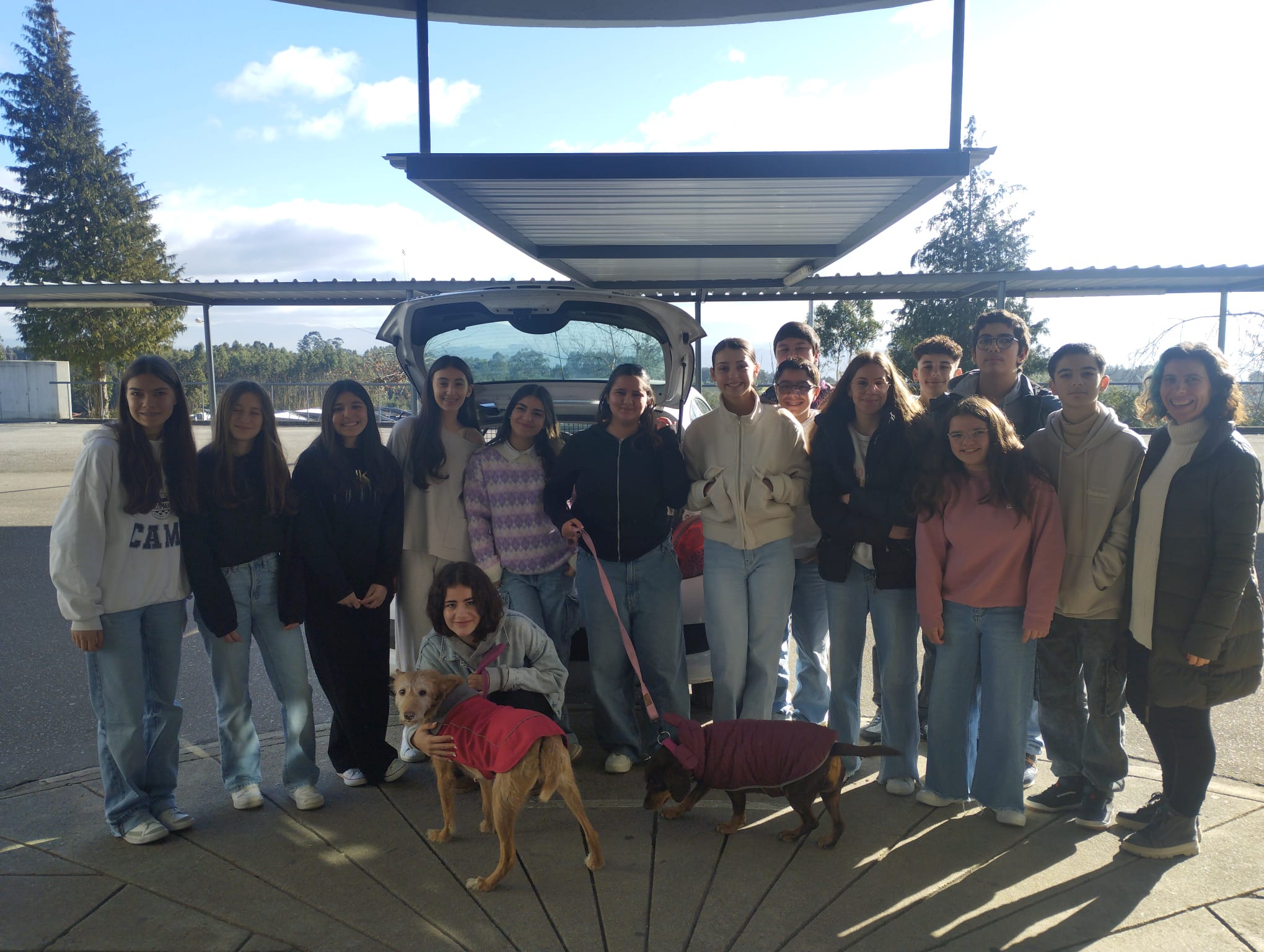 Campanha de Angariação de Alimentos para Animais